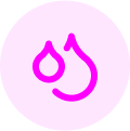 Uploaded Image